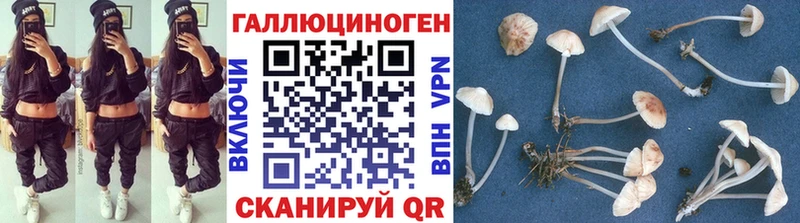 площадка клад  Ржев  Псилоцибиновые грибы ЛСД  где найти  